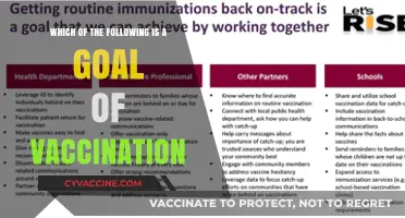 Understanding Vaccination Goals: Protecting Health and Preventing Disease Spread