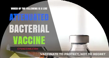 Live Attenuated Bacterial Vaccines: Understanding Their Role in Immunization