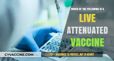 Understanding Live Attenuated Vaccines: Key Examples and Their Benefits