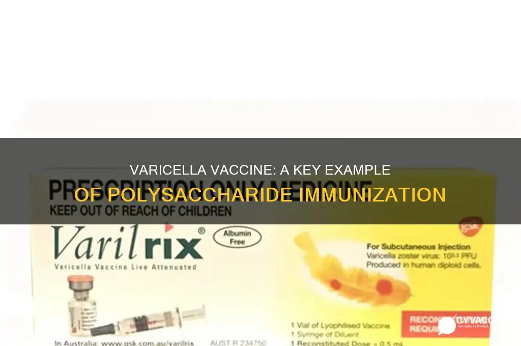 which of the following is a polysaccharide vaccine examples varicella