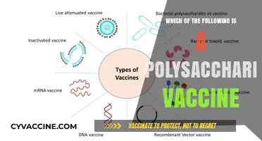 Understanding Polysaccharide Vaccines: Identifying Key Examples and Their Role
