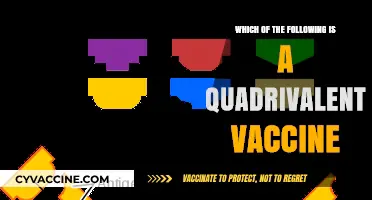 Understanding Quadrivalent Vaccines: Which One Protects Against Four Diseases?