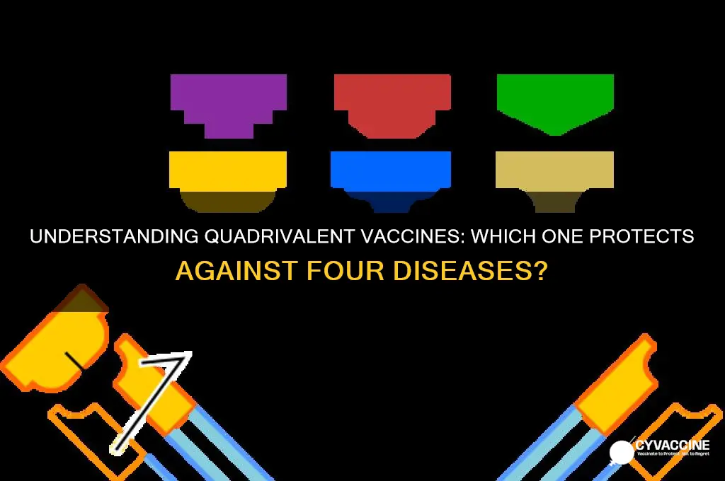 which of the following is a quadrivalent vaccine