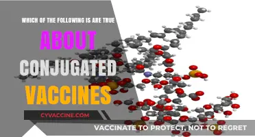Conjugated Vaccines: Unraveling the Truth Behind Their Unique Properties