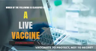 Understanding Live Vaccines: Which Immunizations Use Live Attenuated Viruses?