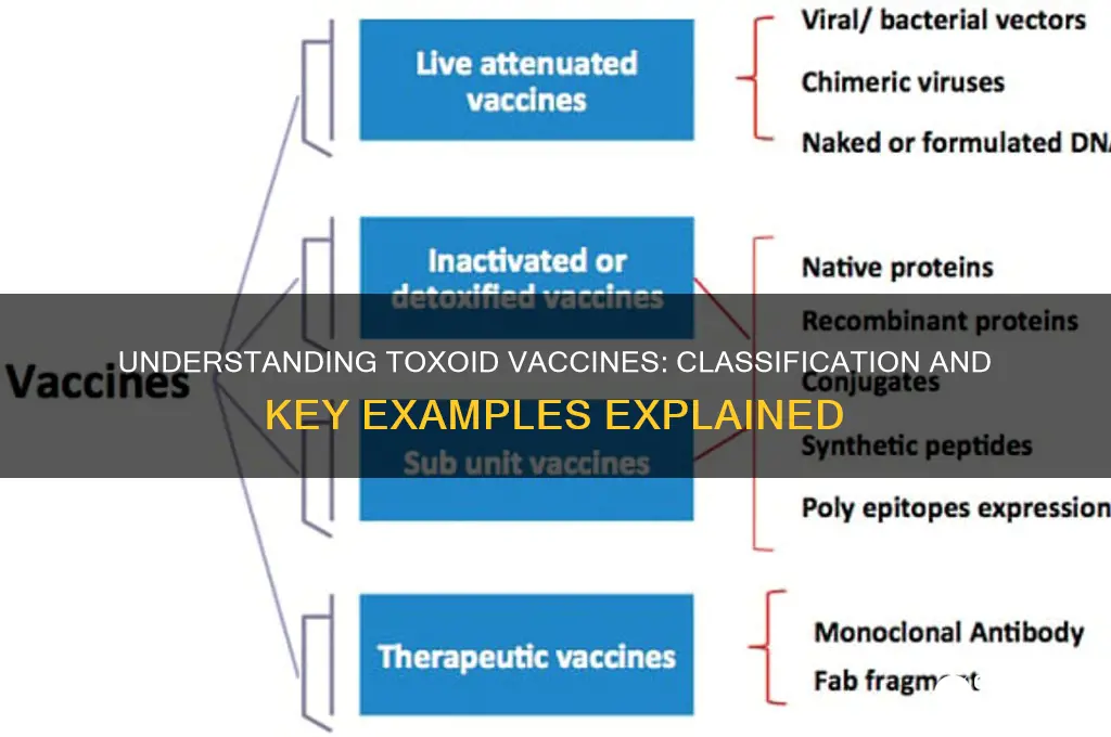 which of the following is classified as a toxoid vaccine