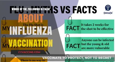 Debunking Myths: What's False About Influenza Vaccination?