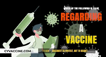 Debunking Vaccine Myths: Uncovering False Claims About Immunizations