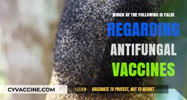 Debunking Myths: False Claims About Antifungal Vaccines Explained