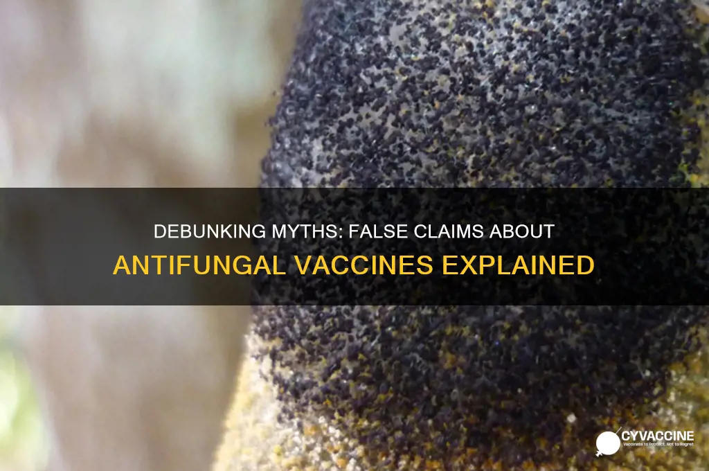 which of the following is false regarding antifungal vaccines