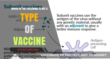 Vaccine Types: Know the Difference and Stay Informed