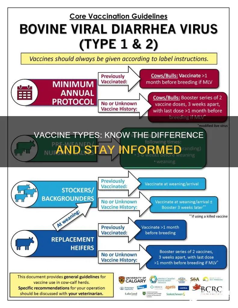 which of the following is not a type of vaccine