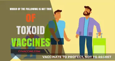 Debunking Toxoid Vaccine Myths: What’s Not True About Their Function?