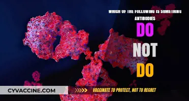 Antibodies: What They Don't Do and Why