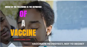 Understanding Vaccines: Defining Their Role in Preventing Infectious Diseases