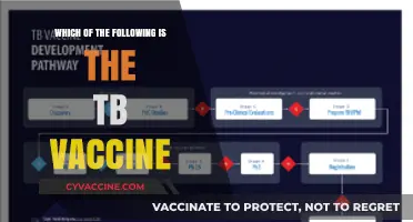 Understanding the TB Vaccine: Which One is Right for You?