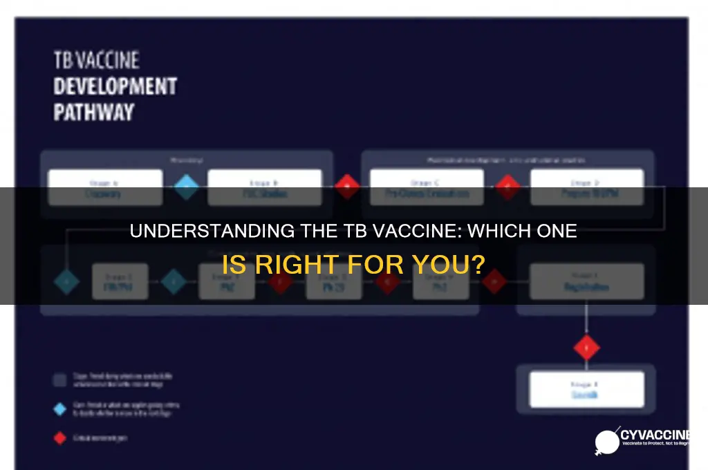 which of the following is the tb vaccine