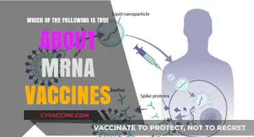 Understanding mRNA Vaccines: Debunking Myths and Highlighting Key Facts