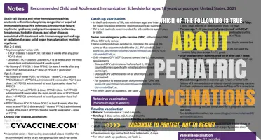Pediatric Vaccinations: Debunking Myths and Understanding Key Facts