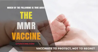 MMR Vaccine Facts: Separating Truth from Misconceptions About Its Safety