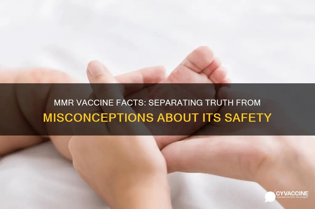 which of the following is true about the mmr vaccine