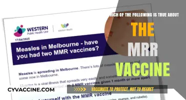 Understanding the MRR Vaccine: Key Facts and Common Misconceptions