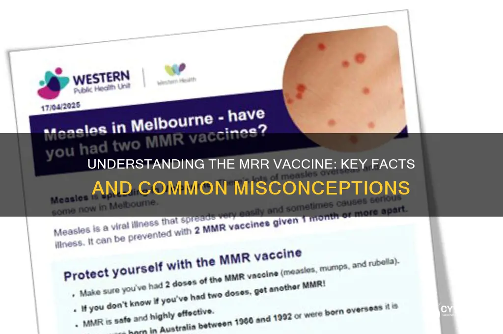which of the following is true about the mrr vaccine