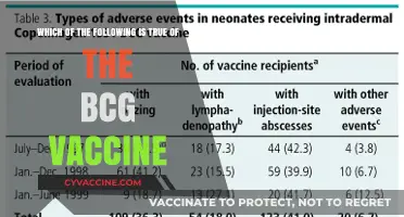 BCG Vaccine Facts: Debunking Myths and Understanding Its True Impact