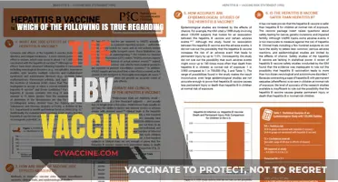 HBV Vaccine Facts: Debunking Myths and Understanding Its True Impact
