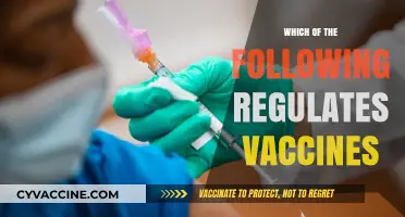 Understanding Vaccine Regulation: Key Authorities and Their Roles Explained