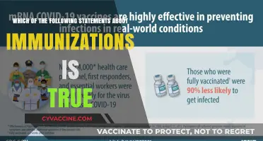 Immunizations: Facts and Truths You Need to Know