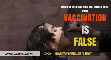 Polio Vaccination Myths Debunked: Identifying False Statements and Facts