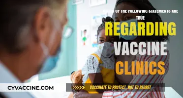 Vaccine Clinics: Debunking Myths and Confirming Facts for Public Health