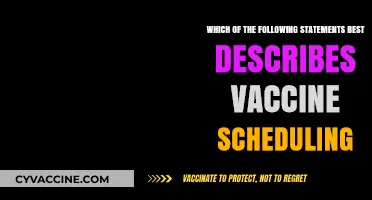 Understanding Vaccine Scheduling: Key Principles for Optimal Immunization Timing