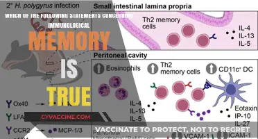 Immunological Memory: What's the Truth?