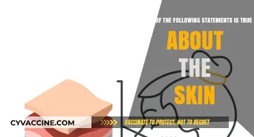The Skin's Truth: Unveiling the Facts