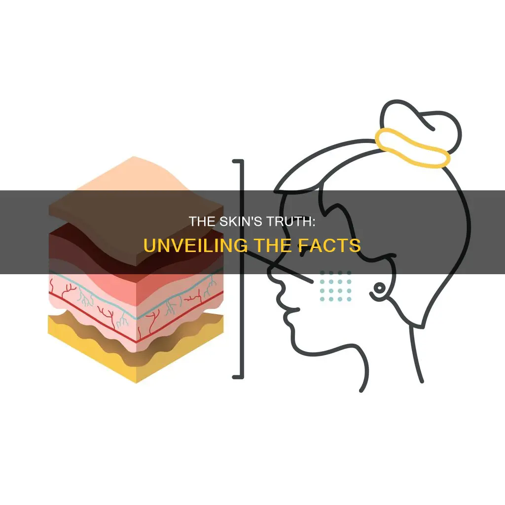 which of the following statements is true about the skin
