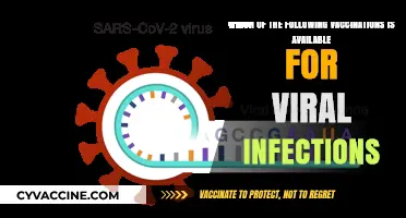 Vaccinations for Viral Infections: Available Options and Their Importance