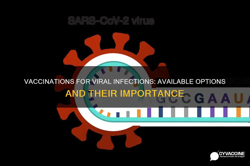 which of the following vaccinations is available for viral infections