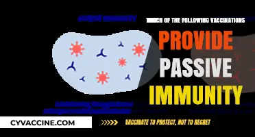 Understanding Passive Immunity: Which Vaccinations Offer Immediate Protection?