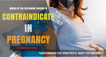 Vaccines and Pregnancy: Which Shots Are Unsafe for Expecting Mothers?