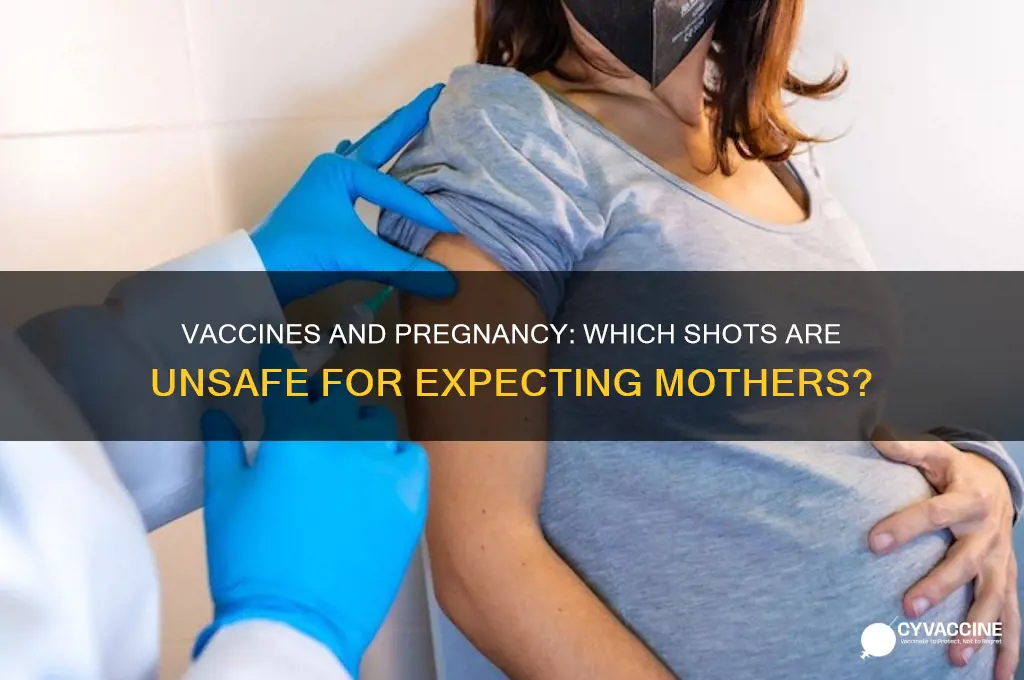 which of the following vaccine is contraindicated in pregnancy