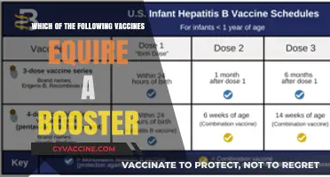 Vaccine Booster Requirements: Which Shots Need an Extra Dose?