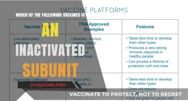 Understanding Inactivated Subunit Vaccines: Key Examples and Benefits