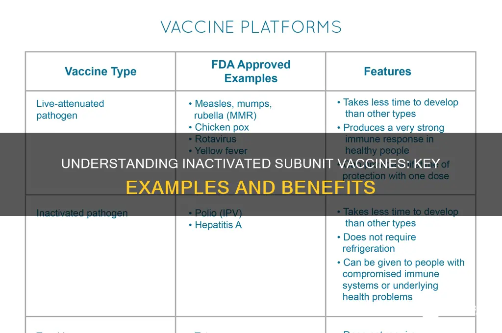 which of the following vaccines is an inactivated subunit