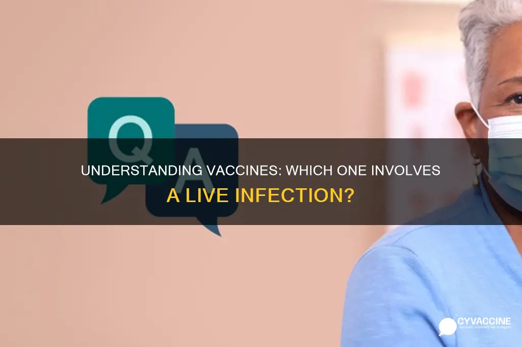 which of the following vaccines is an infection