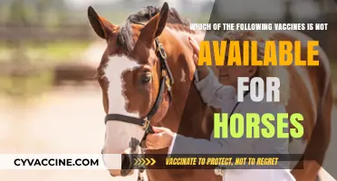 Unveiling the Missing Vaccine: What Horses Can't Receive for Protection
