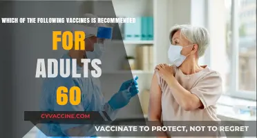 Essential Vaccines for Adults 60+: Protecting Health in Later Years