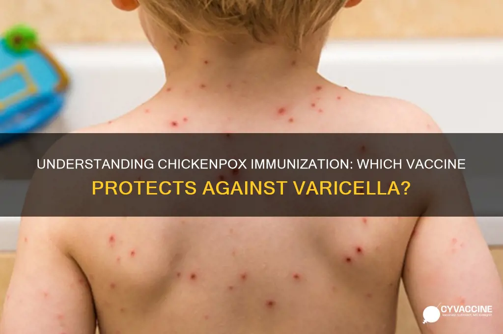 which of the following vaccines is the immunization for chickenpox