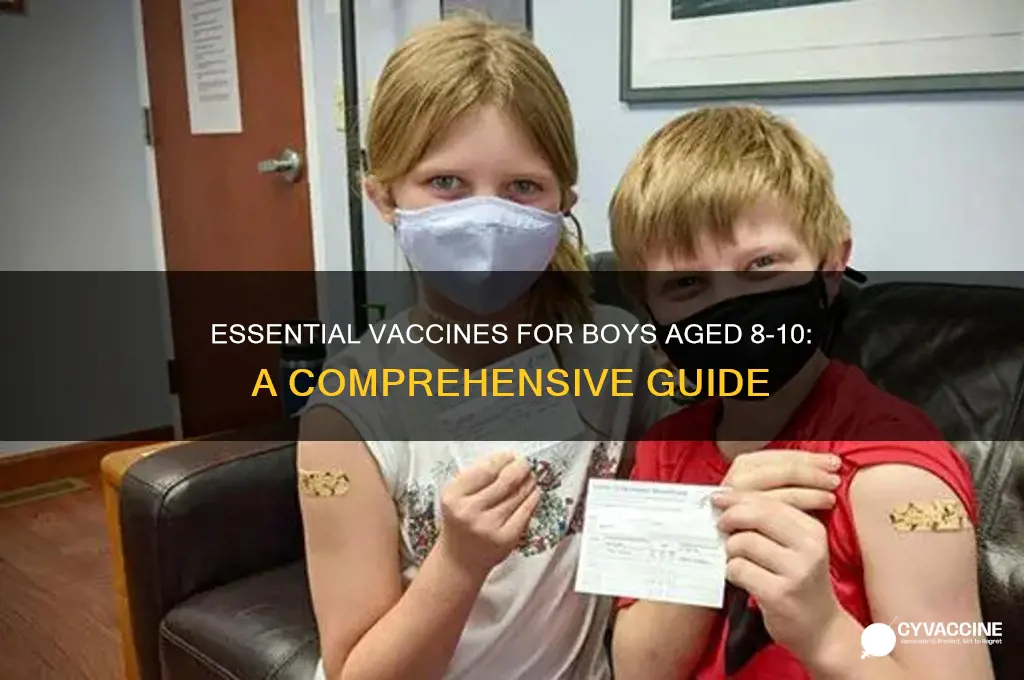 which of the following vaccines should be administered to boys